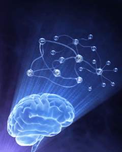 Are your body’s baseline operating systems online?